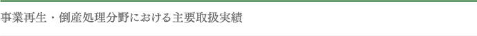 事業再生・倒産処理分野における主要取扱実績